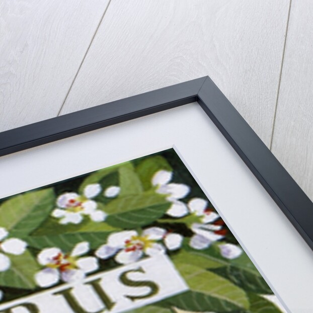 Pyrus, 2014 by Jennifer Abbott