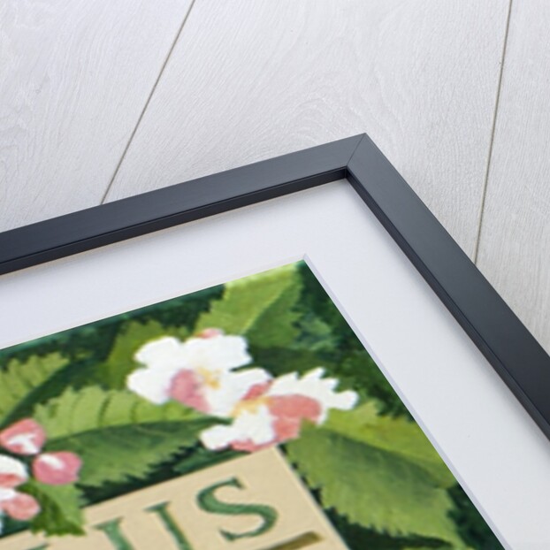 Malus, 2014 by Jennifer Abbott