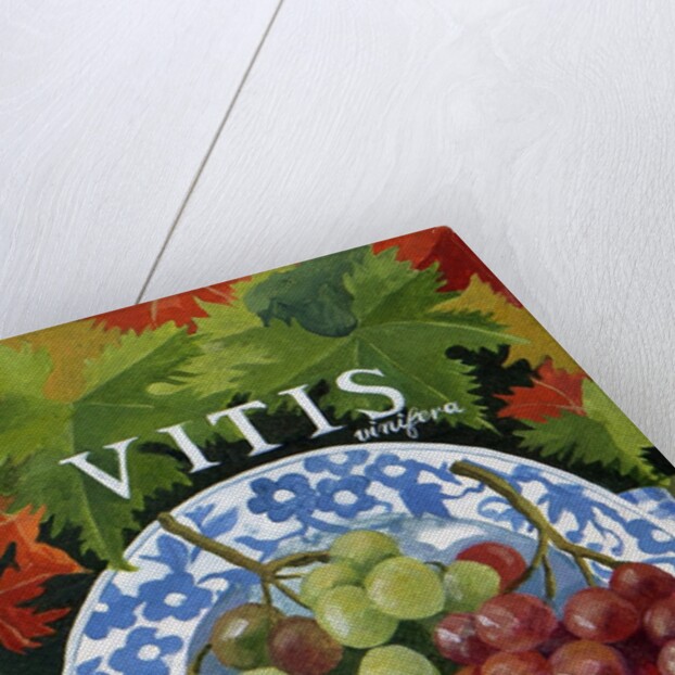 Vitus, 2014 by Jennifer Abbott