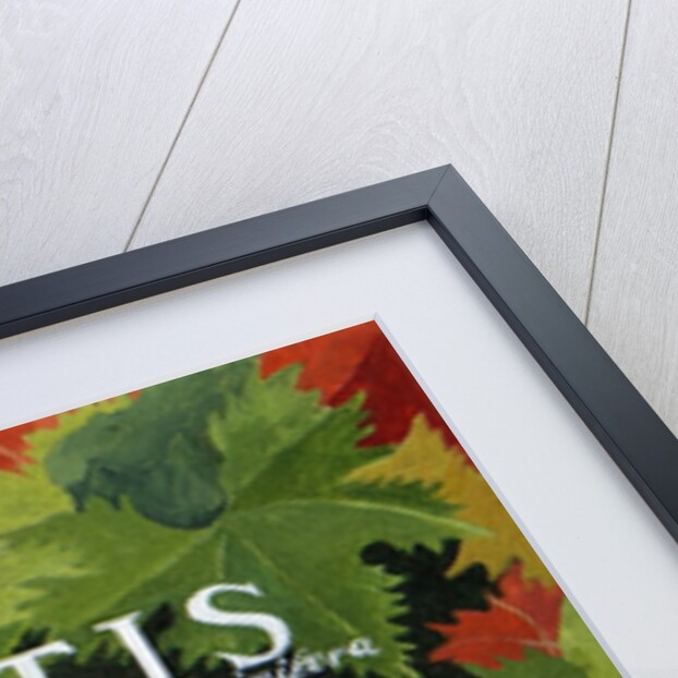 Vitus, 2014 by Jennifer Abbott