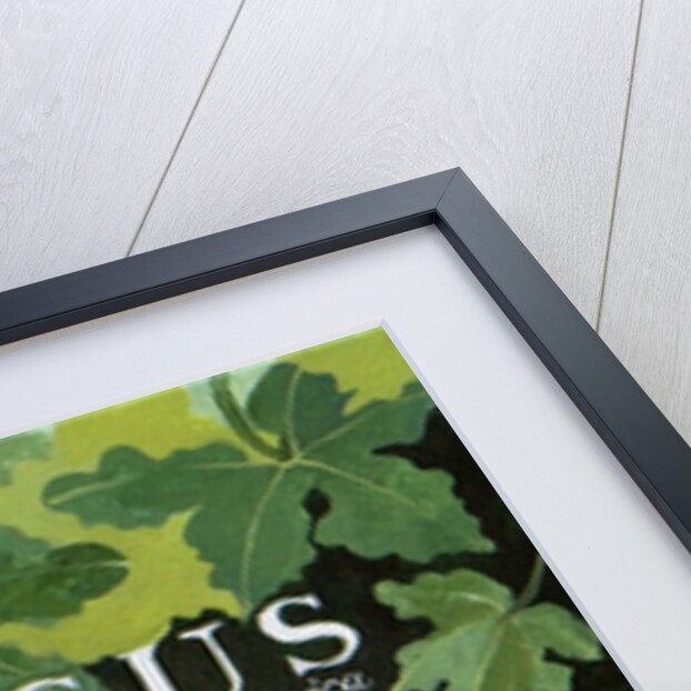 Fieus, 2014 by Jennifer Abbott