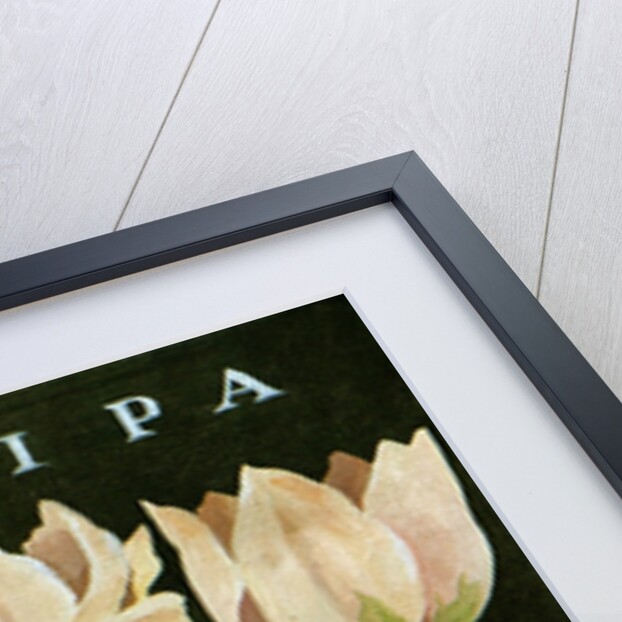 Tulips, 2013 by Jennifer Abbott