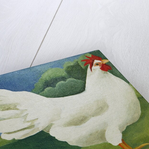 Cockerel, 2013 by Jennifer Abbott