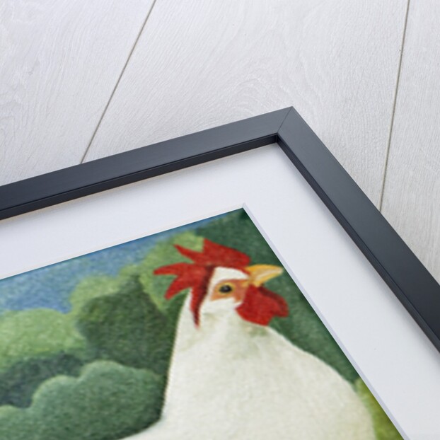 Cockerel, 2013 by Jennifer Abbott