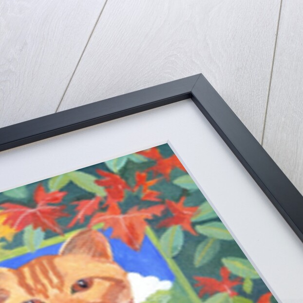 Cat, 2014 by Jennifer Abbott