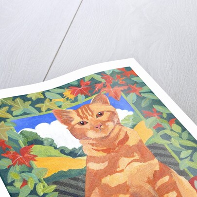 Cat, 2014 by Jennifer Abbott