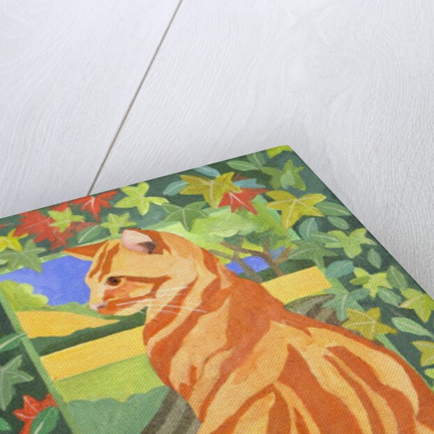 Cat 1, 2014 by Jennifer Abbott