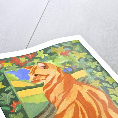 Cat 1, 2014 by Jennifer Abbott