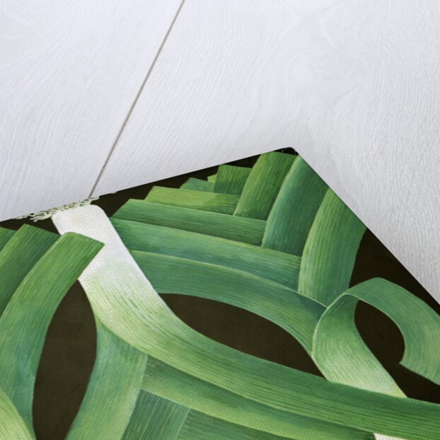 Leeks, 2014 by Jennifer Abbott
