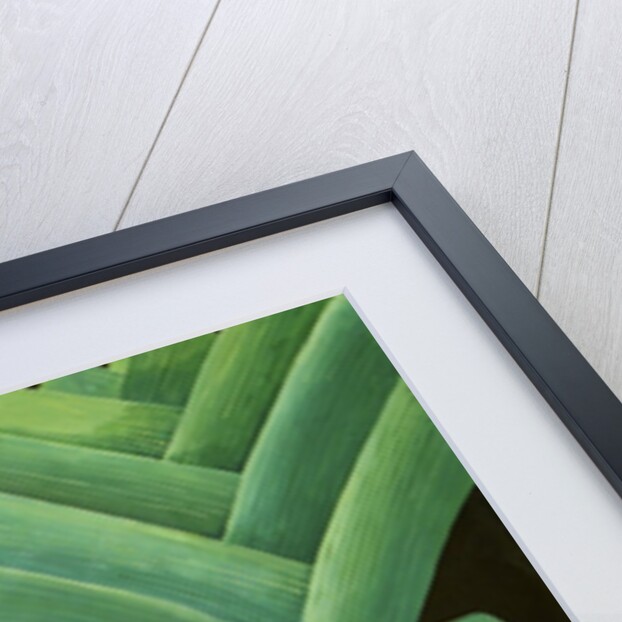 Leeks, 2014 by Jennifer Abbott