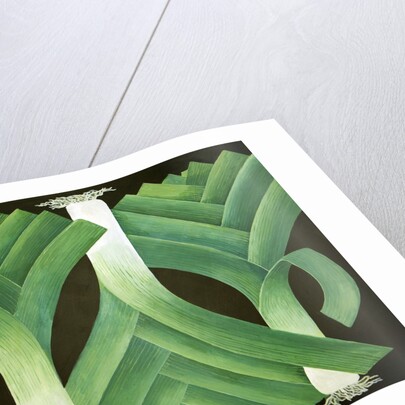 Leeks, 2014 by Jennifer Abbott