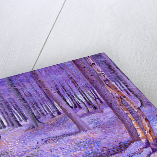 Purple Forest 2, 2012 by David Newton