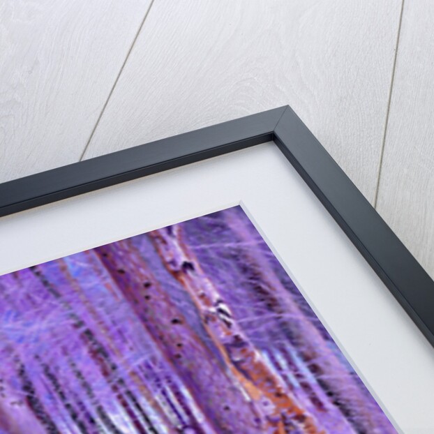 Purple Forest 2, 2012 by David Newton