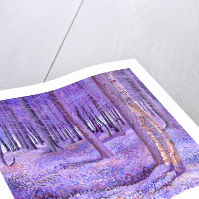 Purple Forest 2, 2012 by David Newton