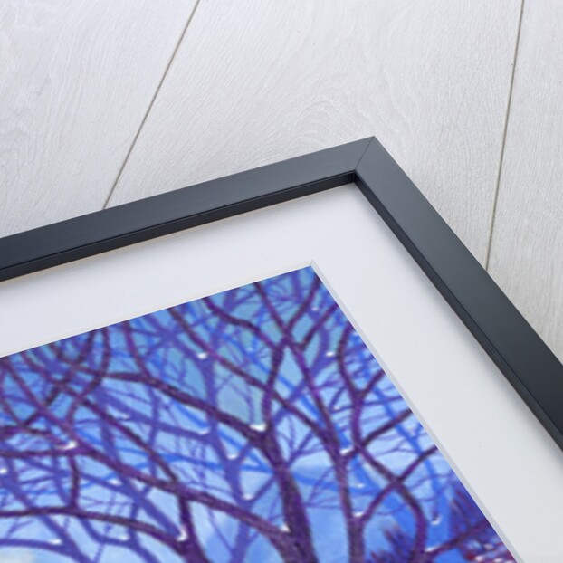 Winterlands, 2012 by David Newton