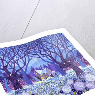 Winterlands, 2012 by David Newton