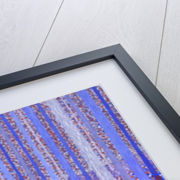 Blue Orange Forest, 2015 by David Newton