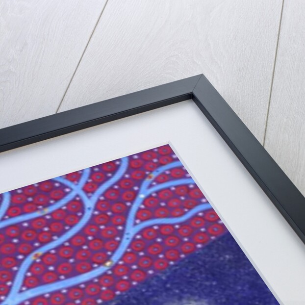 Midnight Moon, 2016 by David Newton