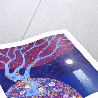 Midnight Moon, 2016 by David Newton