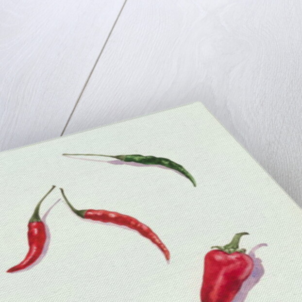 Chillies and Peppers, 2005 by Alison Cooper