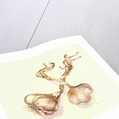 Garlic bulbs, 2005 by Alison Cooper