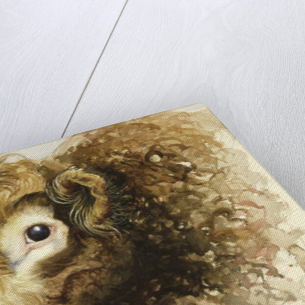 Adam the Bull, 2016 by Alison Cooper