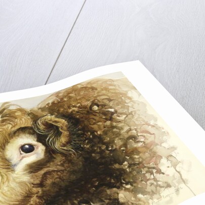 Adam the Bull, 2016 by Alison Cooper