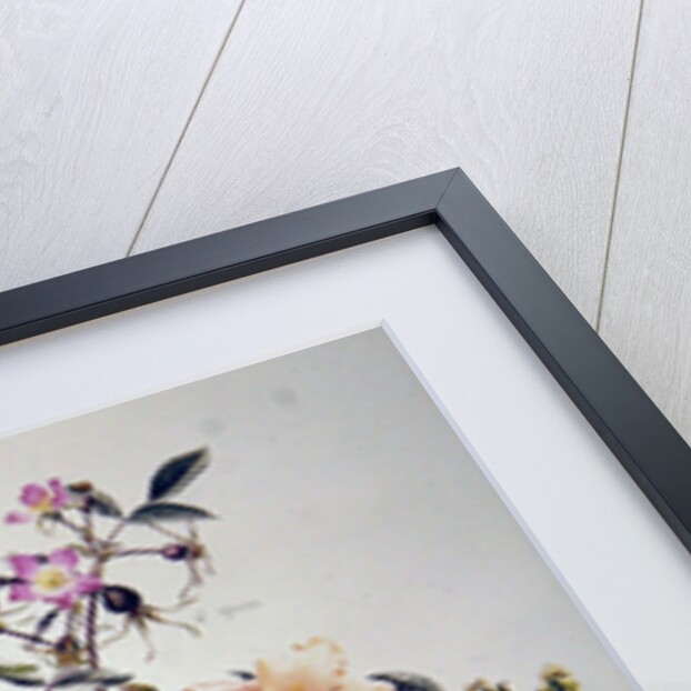 Various Roses, 1999 by Alison Cooper