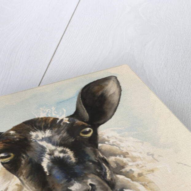 Hello Ewe, 2016 by Alison Cooper