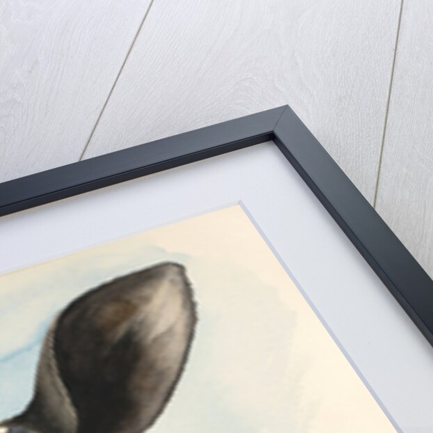 Hello Ewe, 2016 by Alison Cooper