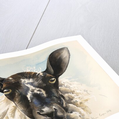 Hello Ewe, 2016 by Alison Cooper