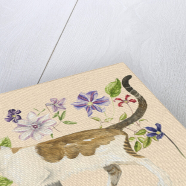 A Cat called Dave, 2017 by Alison Cooper