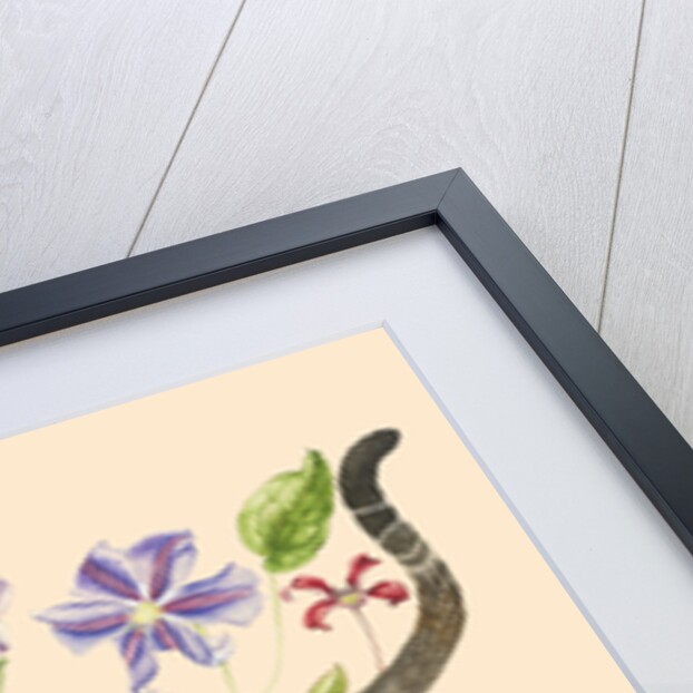 A Cat called Dave, 2017 by Alison Cooper