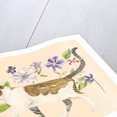 A Cat called Dave, 2017 by Alison Cooper