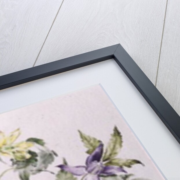 The Macropetalas, 1991 by Alison Cooper