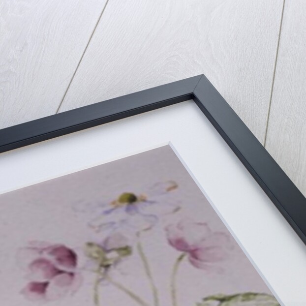 Hellebores, 1990 by Alison Cooper