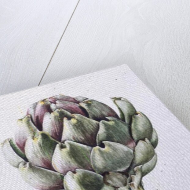 Artichoke Study, 1993 by Alison Cooper