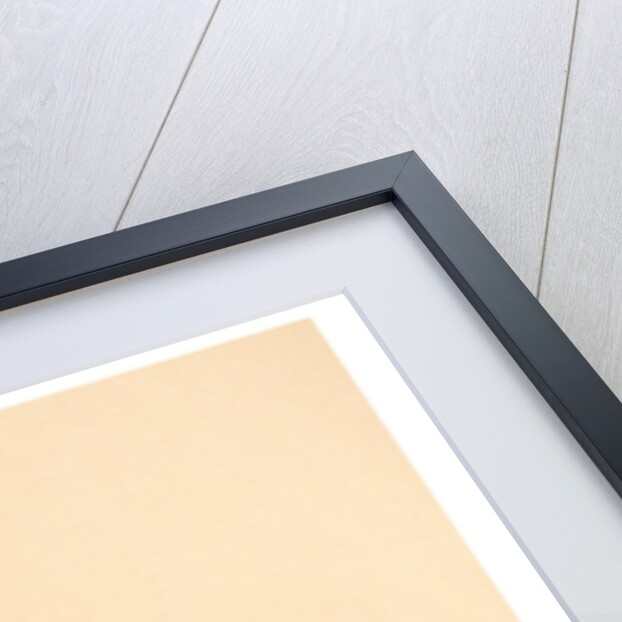 A Black Watch Red hackle, 2004 by Alison Cooper