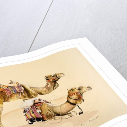 Camels from Petra, 2007 by Alison Cooper