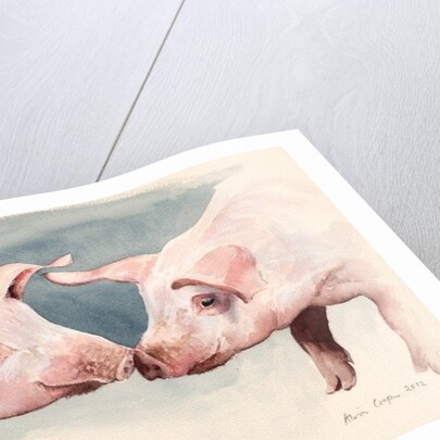 Two Little Piggies, 2012 by Alison Cooper