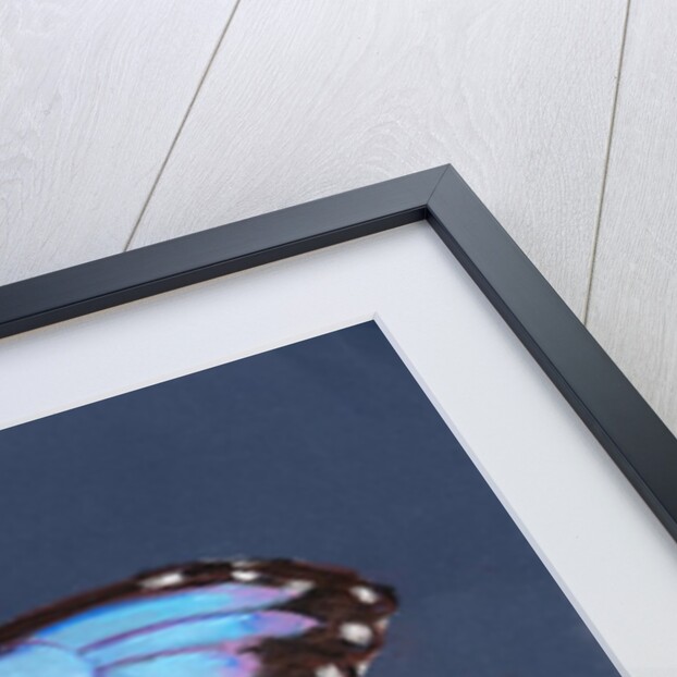Blue Morpho Butterfly, 2019 by Alison Cooper