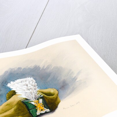 The White Hackle, 2014 by Alison Cooper