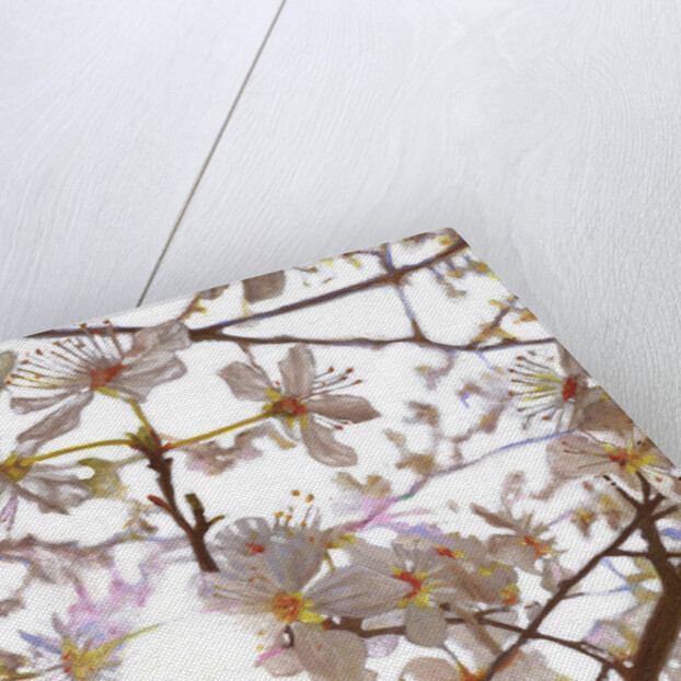 Prelude, 2014 by Helen White