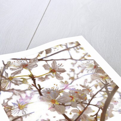 Prelude, 2014 by Helen White