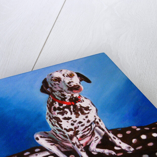 Spot on Spot, 2011 by Helen White