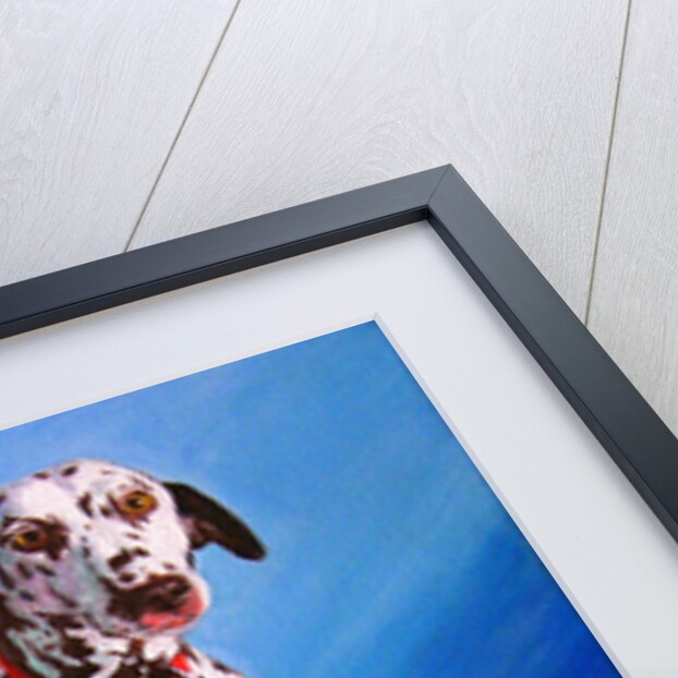 Spot on Spot, 2011 by Helen White