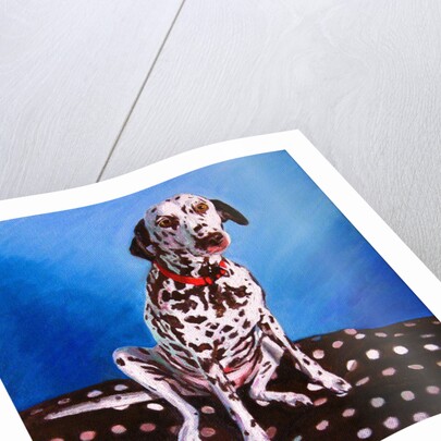 Spot on Spot, 2011 by Helen White