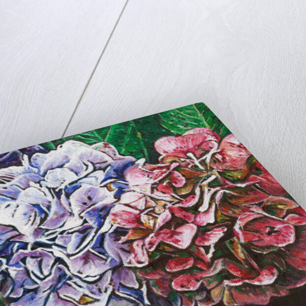 Hydrangeas, 2010 by Helen White