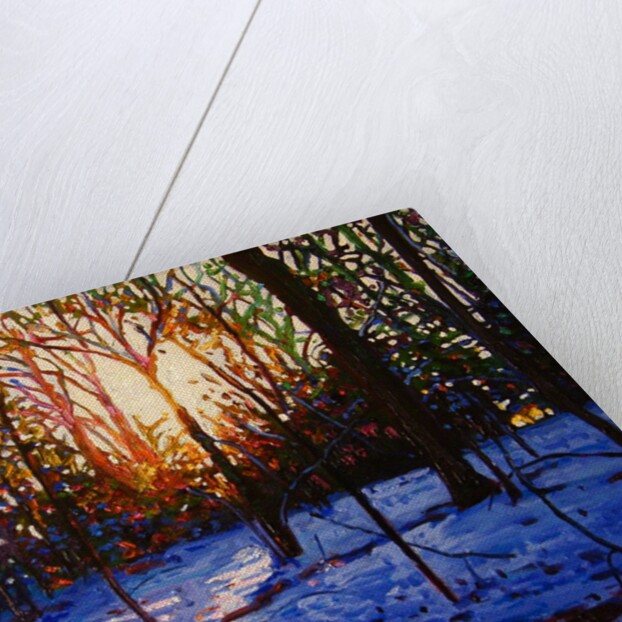 Sunset on Snow, 2010 by Helen White