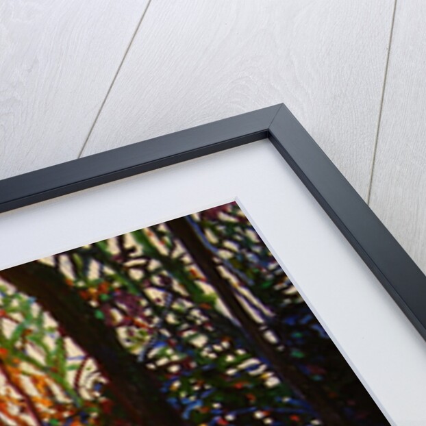 Sunset on Snow, 2010 by Helen White